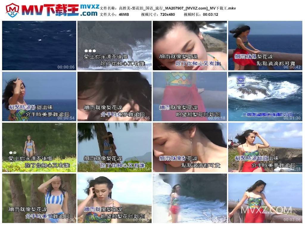 高胜美-梨花泪_国语_流行_MA207907